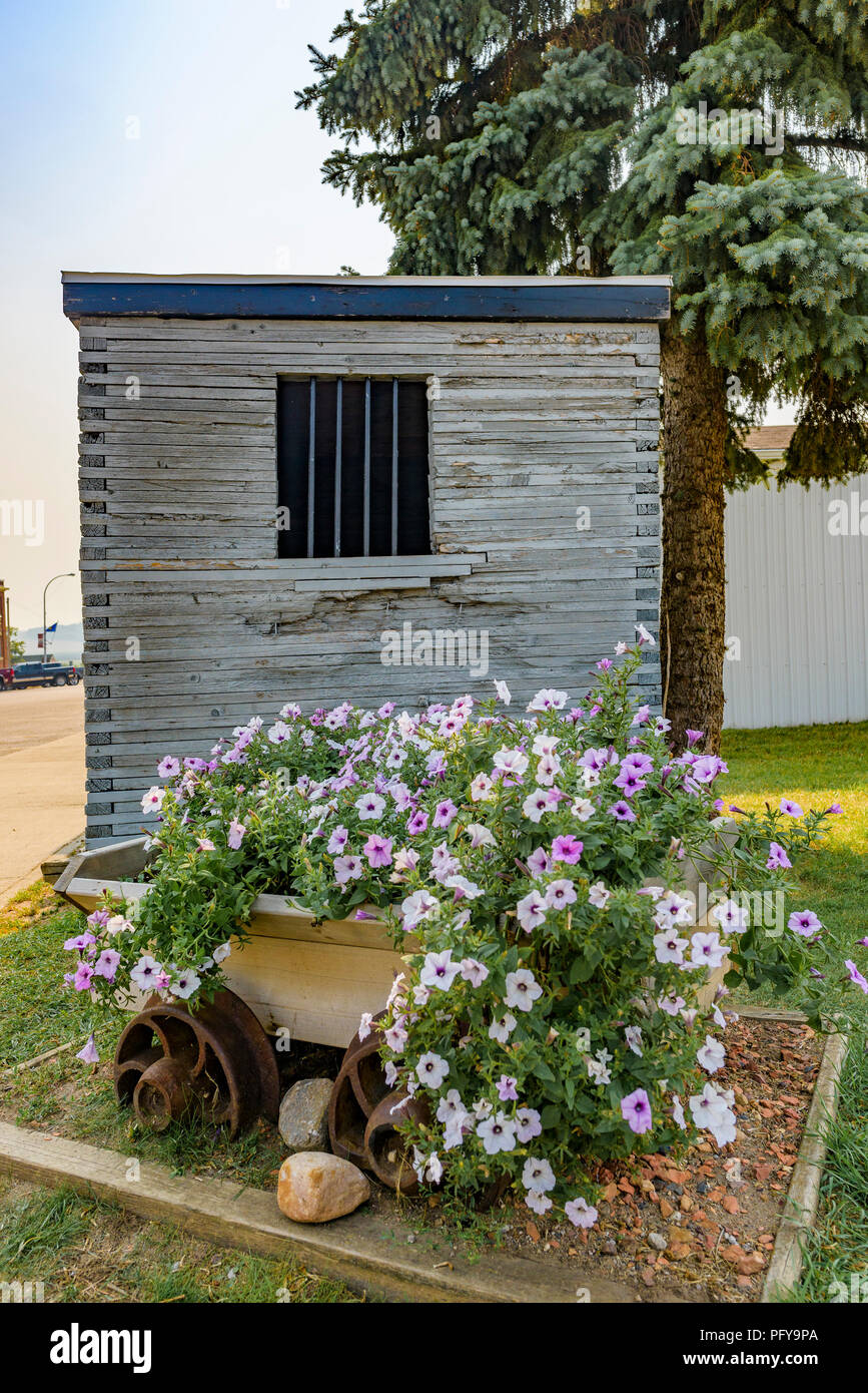 Vecchia Prigione e fiori nel giardino nella guida carrello, grande valle, Alberta, Canada. Foto Stock