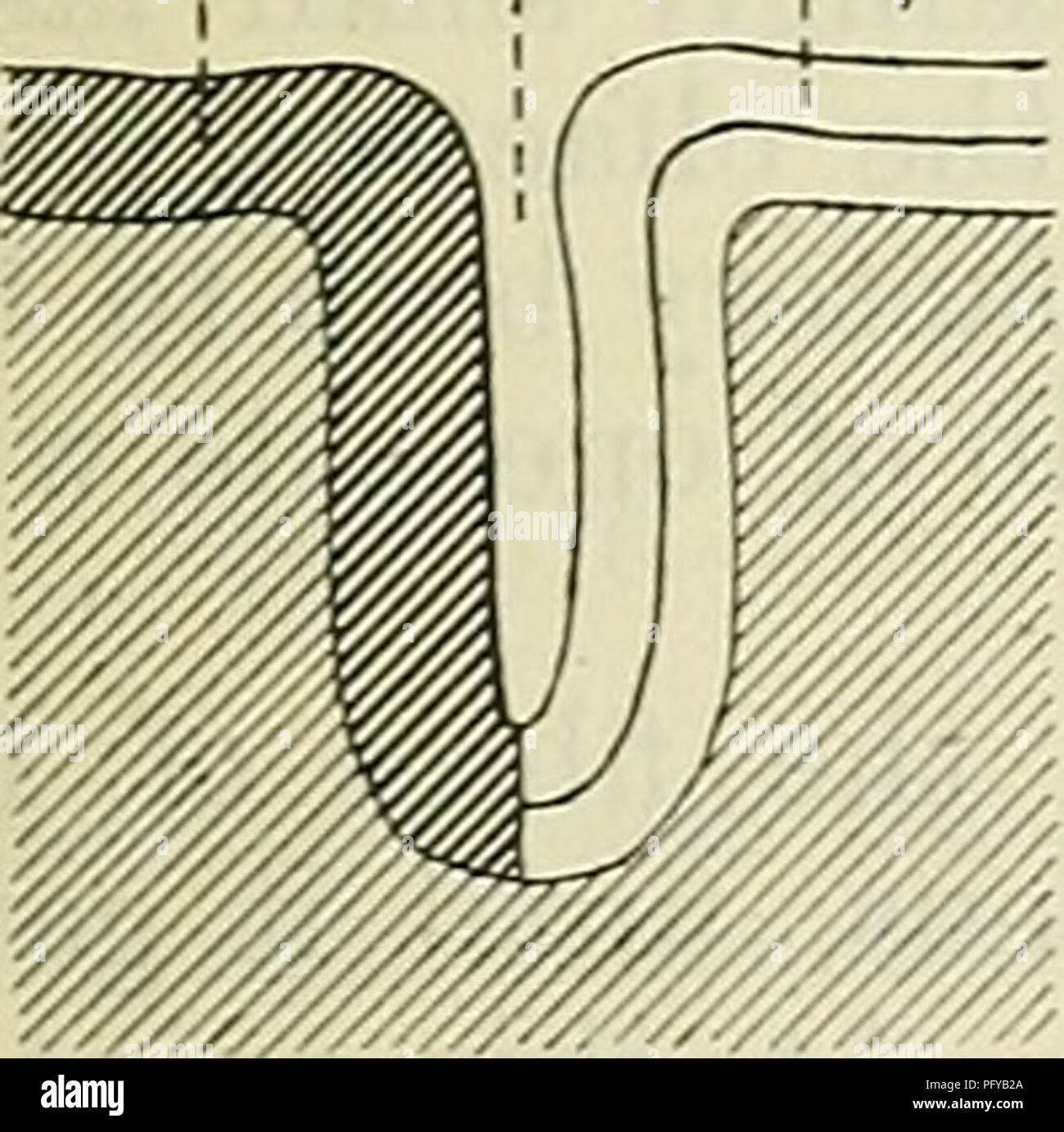Fessura orbitale inferiore immagini e fotografie stock ad alta