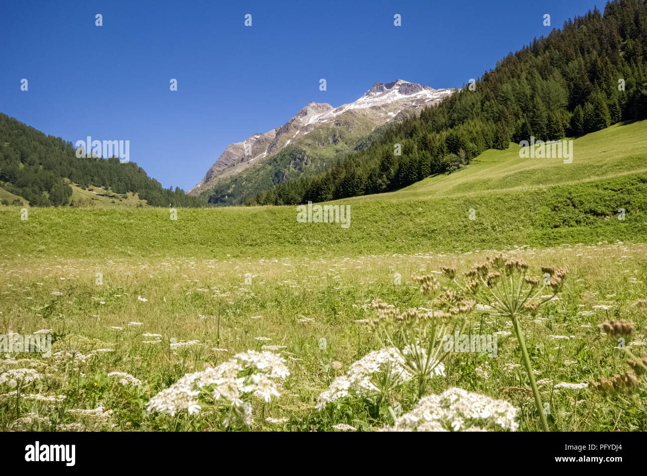 Guardare il bel Binntal (Svizzera) Foto Stock