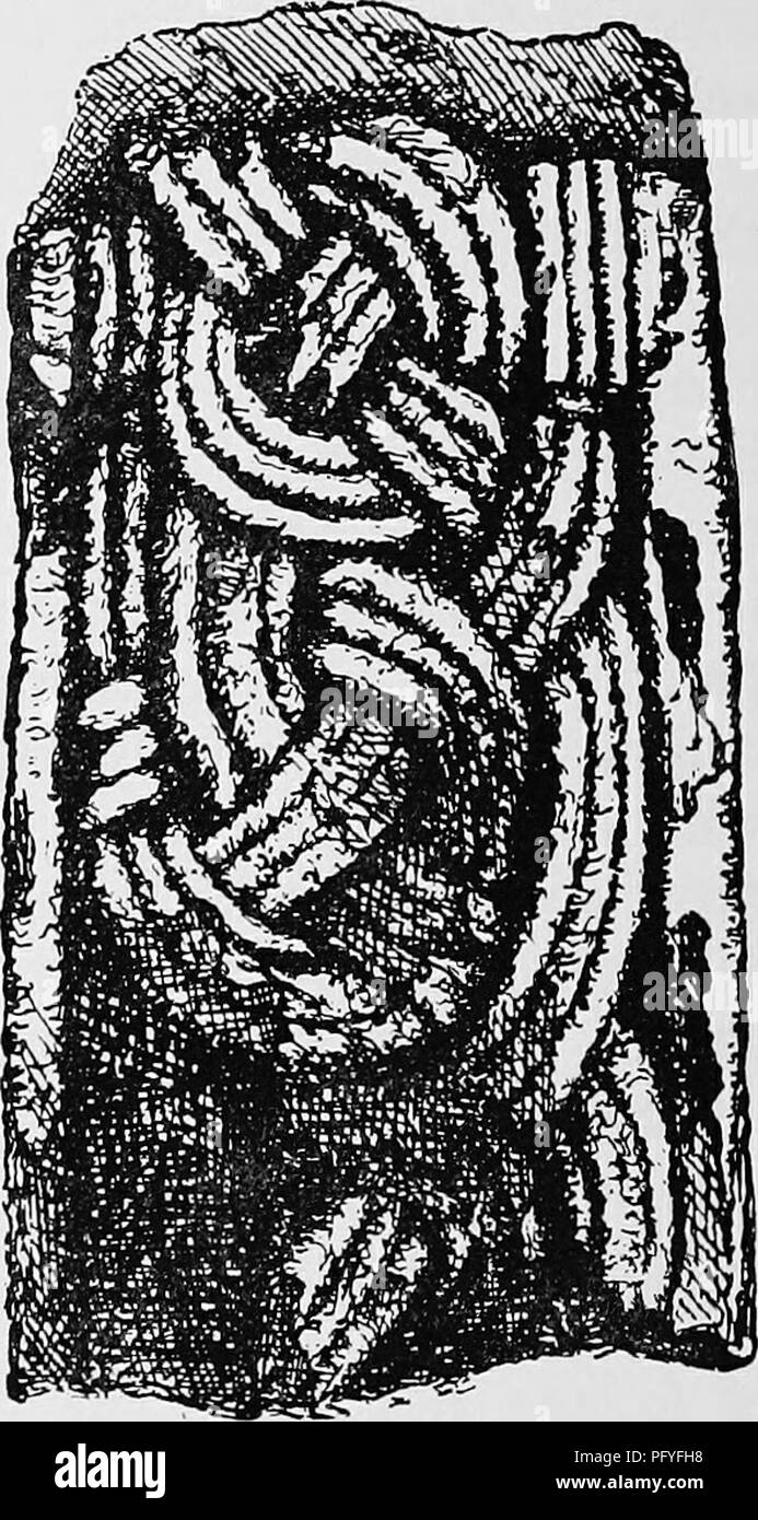 . La storia di Victoria della Contea di Cumberland. Storia naturale. Anglian albero, Addingham, Frammento, Workington. tempi recenti ^ è a favore di una precedente età e un'influenza da Ravenna e altri nord città italiane attraverso San Wilfrith, che è noto per avere portato artisti stranieri nel nord dell'Inghilterra. È stato anche rivendicato come una delle opere dei Maestri Comacini, ma questo non è dimostrato. Essa può tuttavia essere classificato con molte altre opere realizzate in filo di grande rinascimento della fine del VII secolo, in cui Bene- dict Biscop e San Wilfrith erano leader e re Al Foto Stock