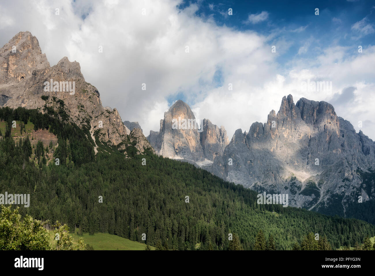 Le Pale di San Martino vista di gruppo da San Martino di Castrozza. In estate le Dolomiti. Italia Foto Stock
