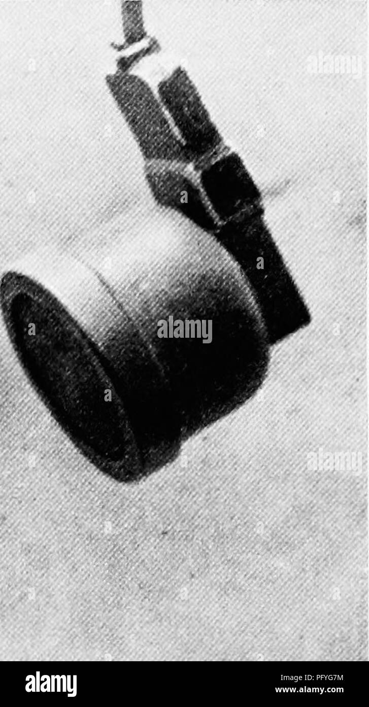 . [Articoli su uccelli da National Geographic Magazine]. Gli uccelli. Un golden eagle urla al microfono contrariamente alla credenza popolare, queste aquile sono timidi uccelli e solo a causa della loro estrema diffidenza sono state in grado di persistere in più parti della regione di Rocky Mountain. Di solito essi nidificano sulle battute inaccessibile, ma di tanto in tanto in cime di alberi di alto fusto. Il loro clamore è piuttosto deludente. Questo oungster solo recentemente ha lasciato il nido (pagina 712).. Si prega di notare che queste immagini vengono estratte dalla pagina sottoposta a scansione di immagini che possono essere state migliorate digitalmente per la leggibilità - colorazione Foto Stock