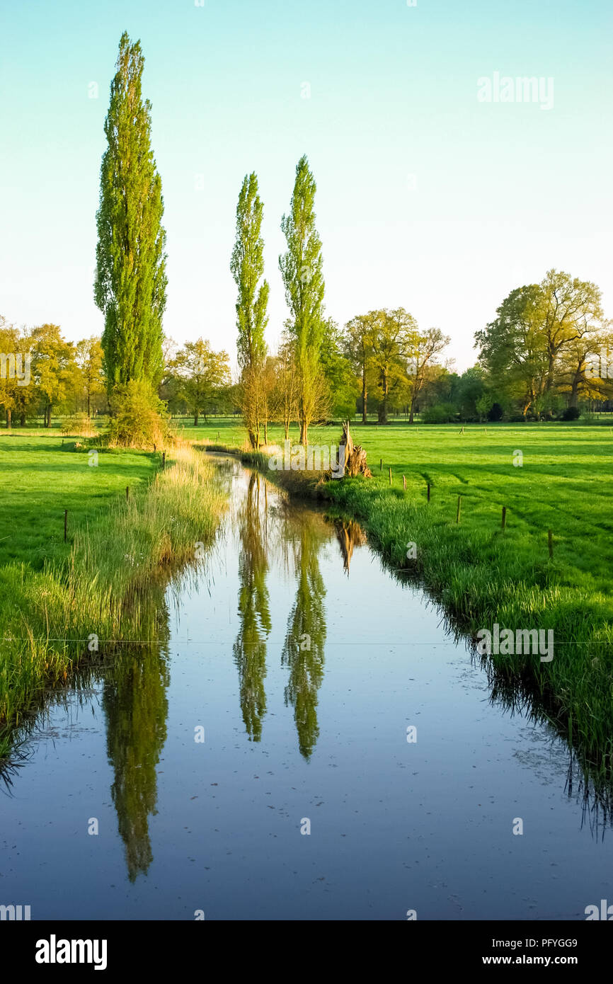 Tramonto vicino al lussureggiante campi nei pressi Delden nella regione di Twente (Overijssel, Paesi Bassi). Questa regione ha un sacco di queste farmlandscapes Foto Stock