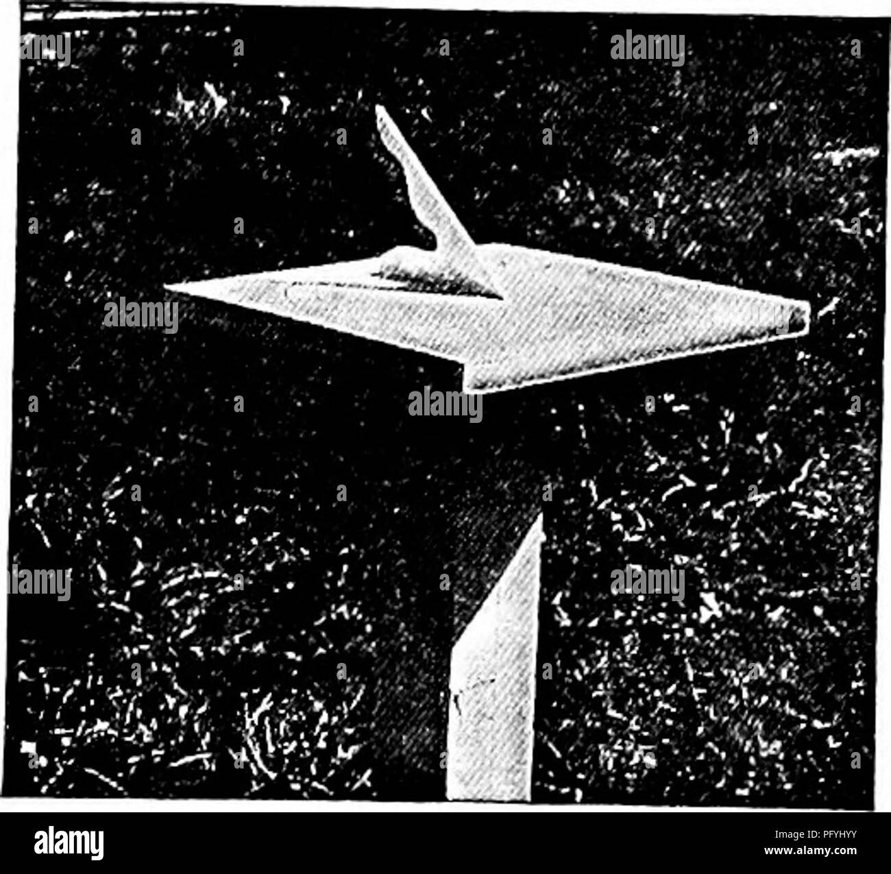 Questa guida allo studio della natura è progettata per insegnanti e genitori per aiutare i bambini a conoscere il mondo naturale. Include attività quali la misurazione delle ombre e l'osservazione dei cambiamenti stagionali, incoraggiando la curiosità e l'apprendimento pratico. La guida promuove una comprensione più profonda della natura attraverso l'osservazione diretta dei fenomeni ambientali. Foto Stock