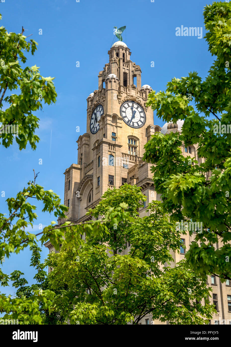 Il Royal Liver Building sorge sopra la città di Liverpool skyline con esso dominante della torre dell'orologio. Foto Stock
