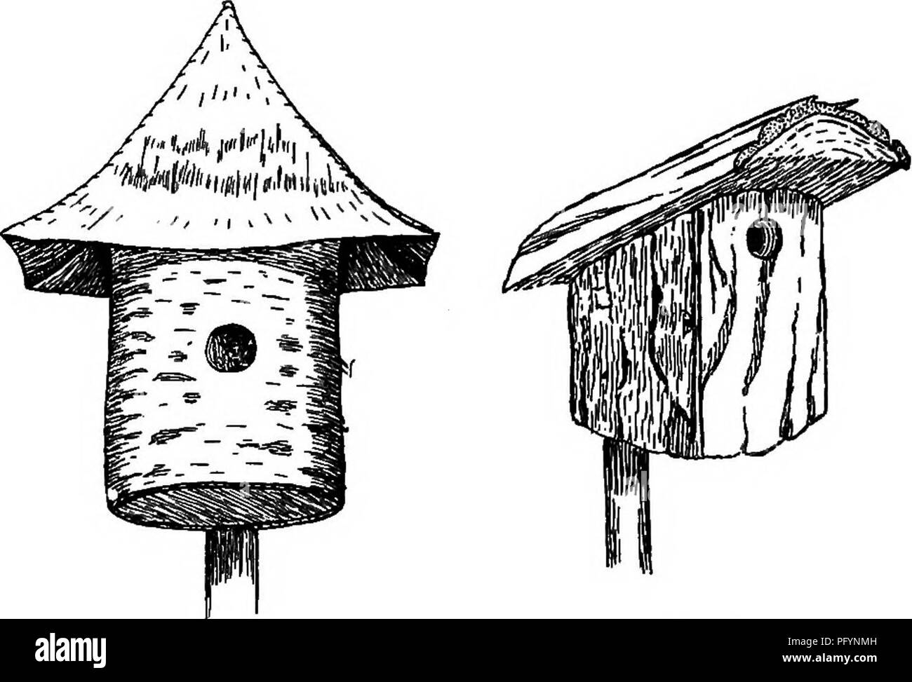 . Uccelli utili e la loro protezione. Contenente una breve descrizione dei più comuni e più specie utili del Massachusetts, con gli account delle loro abitudini alimentari e un capitolo sui mezzi di attrazione e di proteggere gli uccelli. Gli uccelli; uccelli. Fig. 2.. Si prega di notare che queste immagini vengono estratte dalla pagina sottoposta a scansione di immagini che possono essere state migliorate digitalmente per la leggibilità - Colorazione e aspetto di queste illustrazioni potrebbero non perfettamente assomigliano al lavoro originale. Forbush, Edward Howe, 1858-1929; Massachusetts. Scheda Stato dell'agricoltura. [Boston, Massachusetts ] Foto Stock