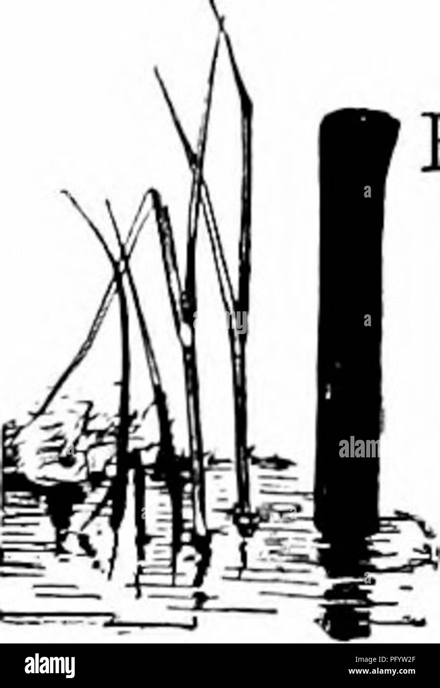 . Manuale di natura-studio per insegnanti e genitori, basato sulla natura di Cornell-studio di volantini. Lo studio della natura. 200 Handbook of Nature-Study IV. Studio del rettile. Tvhen ancora un bambino e a piedi scalzi; ho più di una volta, al mattino. Sono passati, ho pensato che un colpo di frusta unhraided al sole quando, scendere a fissarlo, stropicciata, ed era andato. -Emily Dickinson. ' F l'insegnante potrebbe portare se stessa a prendere tanto interesse come ha fatto Madre Eva in quel "subtile animale," come la Bibbia chiama il serpente, lei potrebbero, attraverso tale interesse, immettere il paradiso del cuore fanciullesco invece di perdere un paradiso di Foto Stock