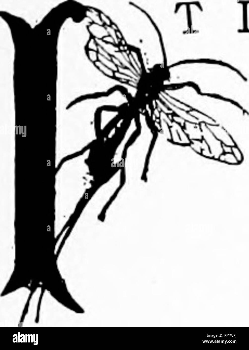 . Manuale di natura-studio per insegnanti e genitori, basato sulla natura di Cornell-studio di volantini. Lo studio della natura. L'insegnamento di Nature-Study 13 DEVE ESSERE LA NATURA-studio insegnante di insegnare a distruggere la vita ? ^T è probabilmente nell'ambito della natura-insegnante di studio al fine di sottolineare il dominio dell uomo, che è il più potente di tutti gli animali, afferma la sua volontà come per quelli che devono vivere nel suo mezzo. Da un punto di vista astratto di giustizia, il gatto randagio ha altrettanto diritto di uccidere e mangiare il pettirosso che si costruisce nella vigna del mio portico come Robin ha per tirare e mangiare il lombrico Foto Stock