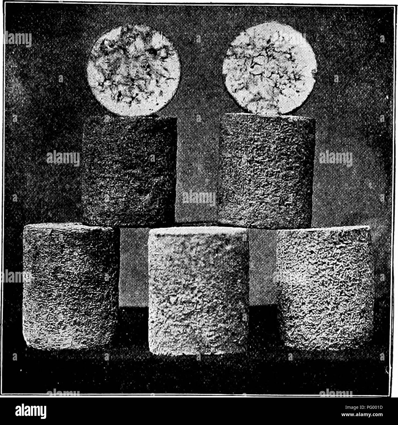 Questo trattato riguarda la produzione di latte e la produzione di prodotti come il formaggio Stilton. Mette in evidenza la consistenza, l'aspetto e il processo di stagionatura del formaggio Stilton, noto per le sue caratteristiche vene blu e la consistenza morbida, insieme agli aspetti più ampi della lavorazione del latte. Foto Stock