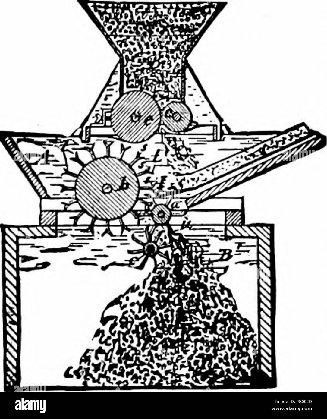 . Il latte e i suoi prodotti : un trattato sulla natura e la qualità del latte e la fabbricazione di burro e di formaggio . Dairying; latte; prodotti lattiero-caseari. Fig. 43. " MacPherson" cagliata mulino. nuovamente. Un ulteriore maturazione della cagliata avviene, durante la quale si assume un peciUiar un sapore di nocciola, e le particelle di caseina iniziano a rompersi in modo che il grasso può essere ri- mosso da pressione. Durante questa fase la cagliata è pronto per la fase successiva, che è la salatura. Periodo VI., salatura.-sale viene aggiunto alla cagliata principalmente per motivi di gusto si im- parti al- formaggio, proprio come sa Foto Stock