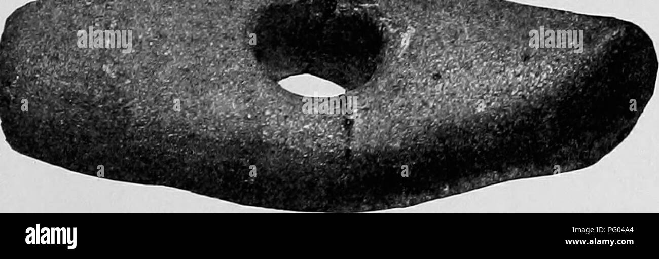 Questo volume esplora la storia naturale della contea di Lancaster, mettendo in evidenza manufatti come il martello rotondo o il mandrino di Haydock e un martello ascia liscio di Winwick. Fornisce informazioni sugli strumenti preistorici e sul loro significato nella storia culturale della regione. Foto Stock