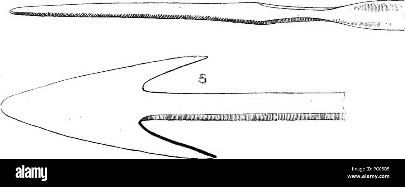 . Dal Niger al Nilo. Spedizione Alexander-Gosling; uccelli. ARKOW-capi delle tribù COUQO 1, 2, 3 e 4. Bari. 5. Logo. In frecce utilizzato dal Mangbettus, Mombuttus, Momvus, Bari e loghi, vi è una notevole differenza nella lavorazione e stile. Il nativo può sempre dire da. Si prega di notare che queste immagini vengono estratte dalla pagina sottoposta a scansione di immagini che possono essere state migliorate digitalmente per la leggibilità - Colorazione e aspetto di queste illustrazioni potrebbero non perfettamente assomigliano al lavoro originale. Alexander, Boyd, 1873-1910; Talbot, Percy Amaury, 1877-1945. Londra, E. Arnold Foto Stock