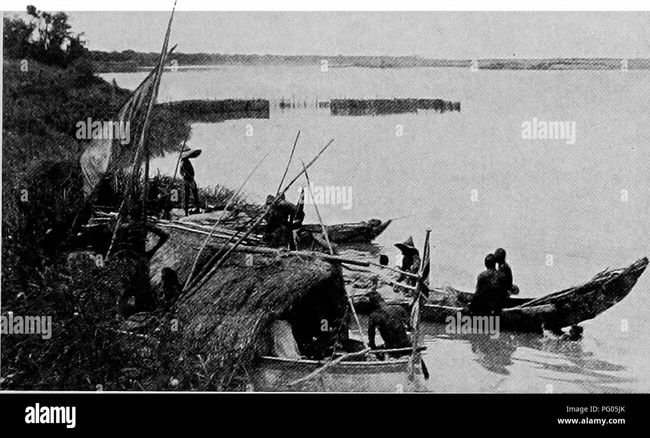 . Dal Niger al Nilo. Spedizione Alexander-Gosling; uccelli. FEOM GULFBI a Fort Lamy 129 pensando che il suo turno deve giungere presto, ma fino ad oggi la Grovernment francese ha sanzionato nessuna politica aggressiva,. Sul SHABI NEAK FORT LAMY in modo possibilmente he possono essere incoraggiati ad iniziare la sua sconfinamenti di nuovo. Poiché Ali Dinar, il sultano del Darfur ha proclamato la sua simpatia per il governo anglo-egiziana Wadai è isolato dai francesi su un lato e britannici su altri che hanno reciprocamente convenuto di perseguire un poUcy difensiva e a non ricorrere ad una violenta occupazione della c Foto Stock