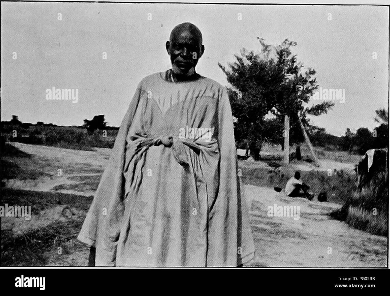 . Dal Niger al Nilo. Spedizione Alexander-Gosling; uccelli. Una lotta con il TUBUS 17 uomo la scusa che pensava che il corpo principale necessari al suo sostegno non è stata considerata abbastanza buono e la sua lance e cavallo sono state prese di distanza da lui ed egli è stato degradato e costretti ad andare a piedi. La carovana seguita stanchi modo senza un arresto,. Un vecchio guerriero IN PROVA FRECCIA rivestire ucciso nella lotta per salvare l'brevi fermate come l'ultima quando il Tubus sbarrata la strada. Presto abbiamo raggiunto Pogwa, e qui vi è stato un altro breve pausa mentre il perfido dei palmeti sono stati picchiati per Mobbur imboscate. Su t Foto Stock
