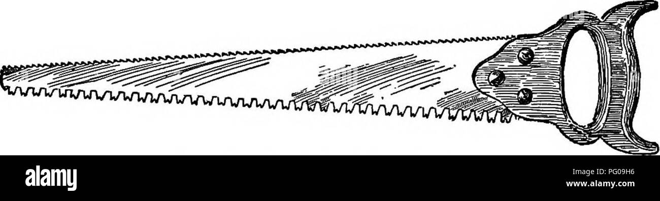 . L'Americano culturist frutta, contenente le indicazioni per la propagazione e la cultura di tutti i frutti adattata per gli Stati Uniti. Frutti-coltura. Fig. 161.-Pruning-Saws. non richiede così spesso una lama come la spinta di sega, con i denti in modo usuale. Per questo motivo è meno suscettibile di maiale. 162.-Draw-Saw. diventare rotto o piegato. Il due-refilato sega (Fig. 163) possono essere facilmente acquistati ovunque ed è molto utile. Fig. 163.-due-orlato di potatura sega. Tlaebudding-coltelli (Fig. 164) dovrebbe avere all'estero, lama piatta, il cui bordo è di essere arrotondato verso l'esterno, per la più pronta incisione della corteccia Foto Stock