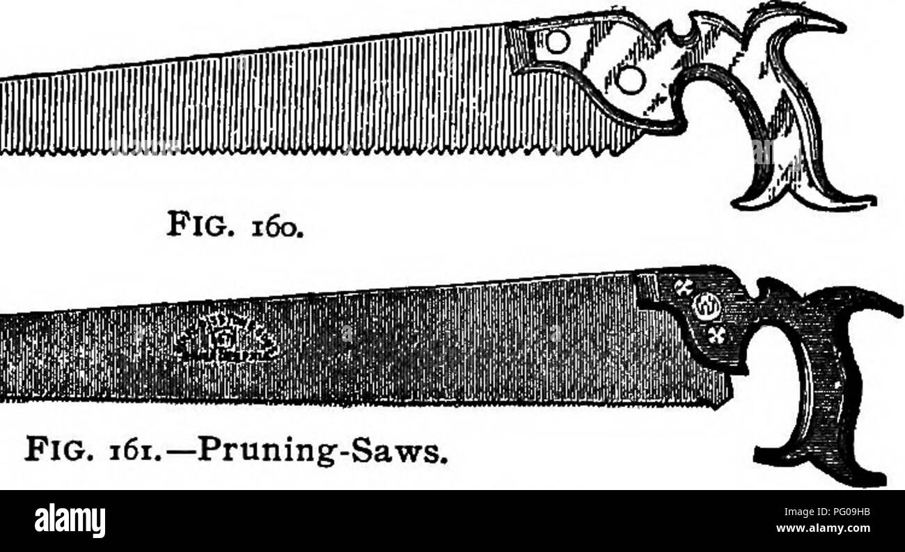 . L'Americano culturist frutta, contenente le indicazioni per la propagazione e la cultura di tutti i frutti adattata per gli Stati Uniti. Frutti-coltura. Gli attrezzi utilizzati dai coltivatori di frutta 113 inverso della sega comune; che essi devono puntare verso l'operatore. Essendo così soggetta soltanto a un ceppo di trazione, esso. Fig. 161.-Pruning-Saws. non richiede così spesso una lama come la spinta di sega, con i denti in modo usuale. Per questo motivo è meno suscettibile di maiale. 162.-Draw-Saw. diventare rotto o piegato. Il due-refilato sega (Fig. 163) possono essere facilmente acquistati ovunque ed è molto utile. Si prega di notare Foto Stock