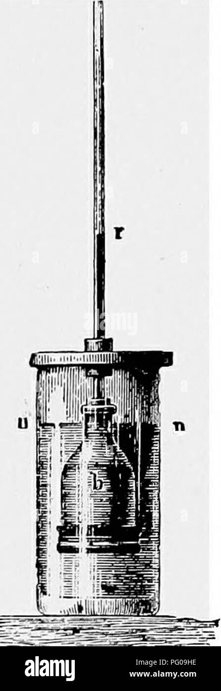 . Lezioni di botanica. La botanica. 3o botanica. pressione dall'interno, ma un punto è ben presto raggiunto oltre la quale non stretch e un equilibrio quindi tende ad essere stabilito tra la pressione dall'interno sul protoplas- mic membrana e la pressione da senza dall'elastico della parete cellulare. Questo stato di una cella è turgescence, o una tale cellula è detto essere turgescenl o turgidi. Dimostrazione 12. 60. Esperimento per mostrare la diffusione attraverso una membrana animale.-Per questo esperimento utilizzare un tubo di cardo, attraverso l'estremità più grande della quale deve essere allungato e legati strettamente un pezzo di vescica- mem brane. Foto Stock
