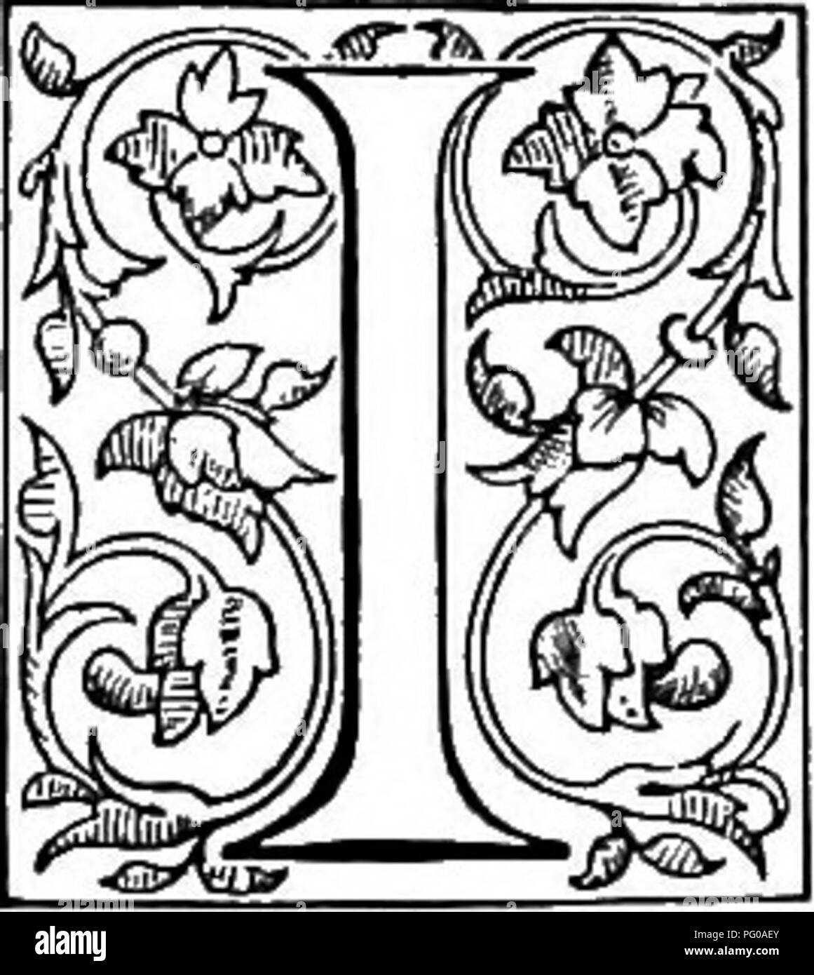 . Il libro di scelta felci : per il giardino, veranda, e fornelli : descrizione e dando esplicito direzioni culturali per la migliore e la più suggestiva di felci e selaginellas nella coltivazione. Illustrato con le piastre colorate e numerose incisioni in legno appositamente preparato per questo lavoro . Felci; felci. Capitolo IX. PLATYZOMA, Marrone. (Plat-yz-o'-ma.). N Hooker e panettiere " Synopsis Filicum", Platyzoma, wHch è una divisione del sub-ordine Gleicheniacece, forme genere 1. Il suo nome è derivato da platys, ampia e zoma, una banda, in allusione al anello ampio del sporangia. Si tratta di un mono Foto Stock