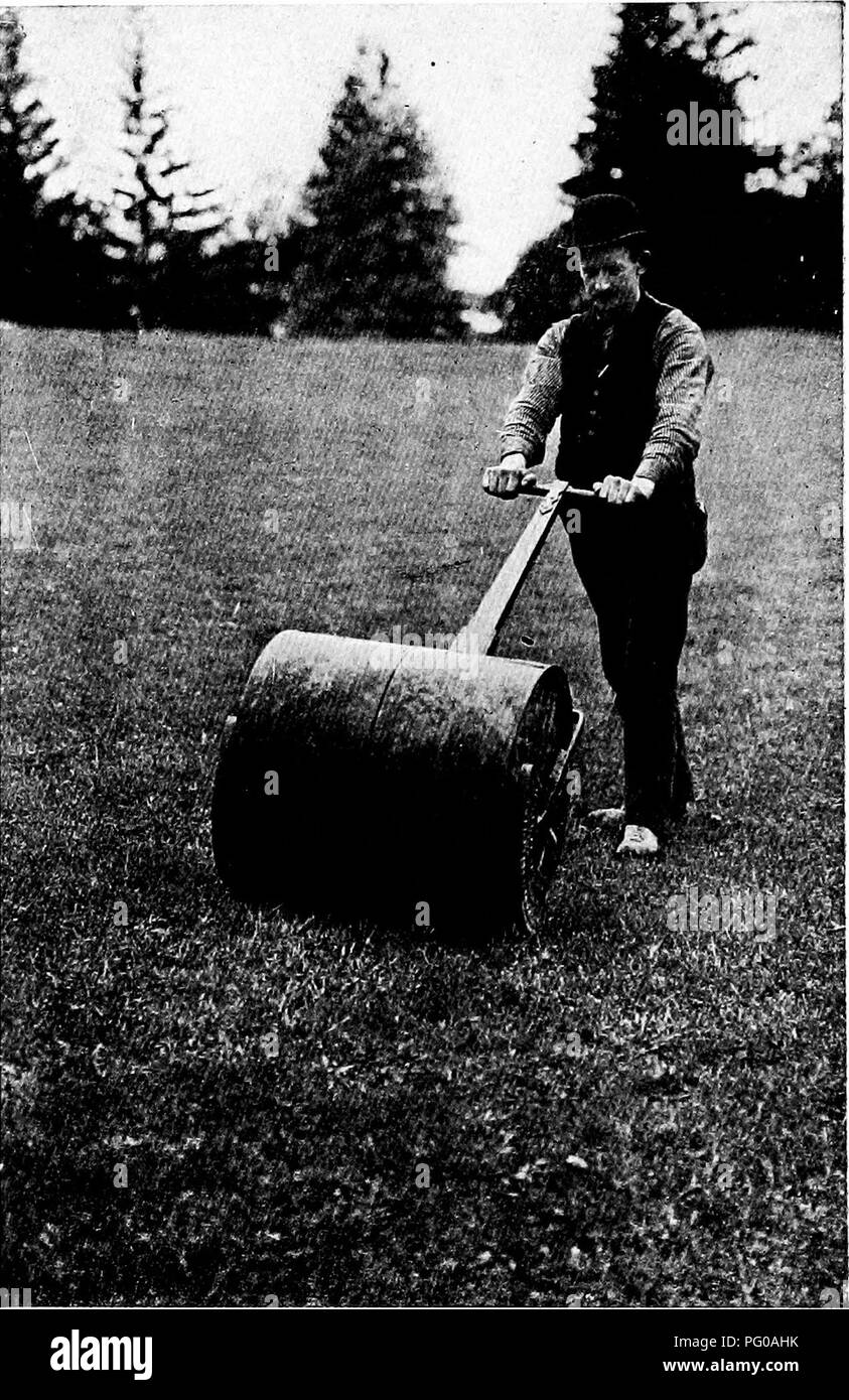 . Prati e come farli : insieme con la corretta tenuta del putting green . Prati. Piastra XXV. Il corretto tipo di rullo di laminazione persistente è di vitale importanza per il mantenimento di un prato. Utilizzare un rullo di sezione perché spire possono essere realizzate senza ferire l'erba, le sezioni che lavorano in modo indipendente. L'acqua di zavorra rullo può essere weightea per soddisfare la forza dell'operatore, variabile da tre a sei cento libbre. Si prega di notare che queste immagini vengono estratte dalla pagina sottoposta a scansione di immagini che possono essere state migliorate digitalmente per la leggibilità - Colorazione e aspetto di queste illus Foto Stock