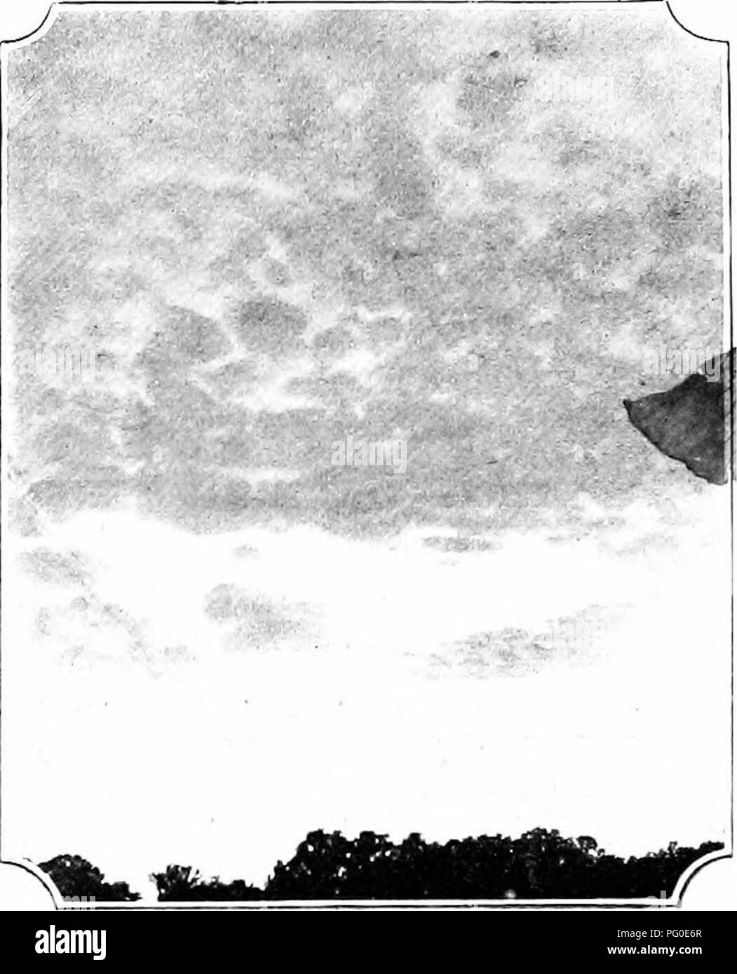 Gli Skylark sono noti per aver preso in prestito chiamate da altri uccelli, tra cui il Plover. Le loro canzoni spesso terminano con una nota distintiva. Questi uccelli possono essere trovati in aree come le Ebridi esterne, dove le loro chiamate simili a canti sono un suono familiare, in particolare quando non ci sono predatori nelle vicinanze. Foto Stock