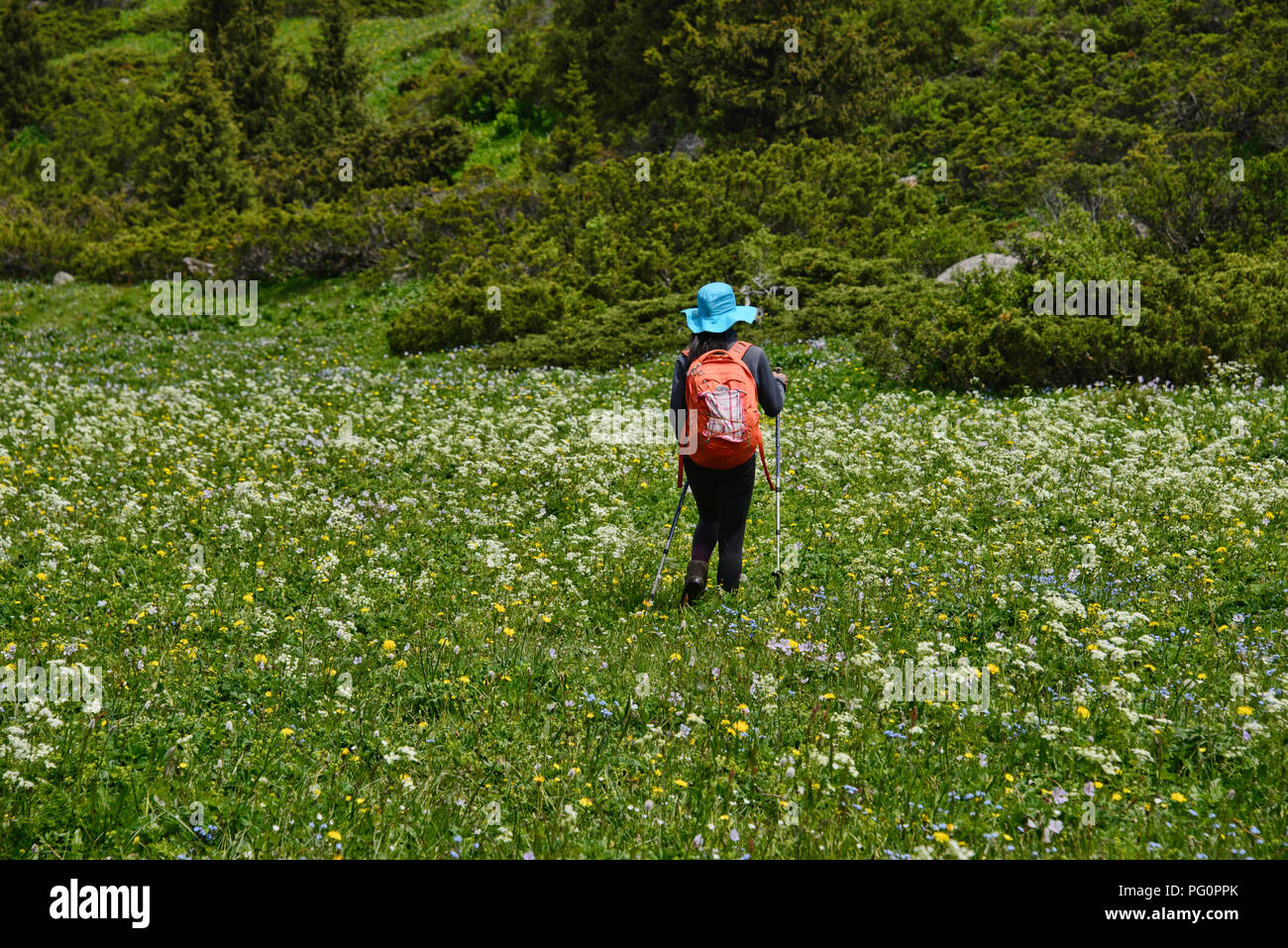 Il trekking alpino bello Keskenkija Trek, Jyrgalan, Kirghizistan Foto Stock