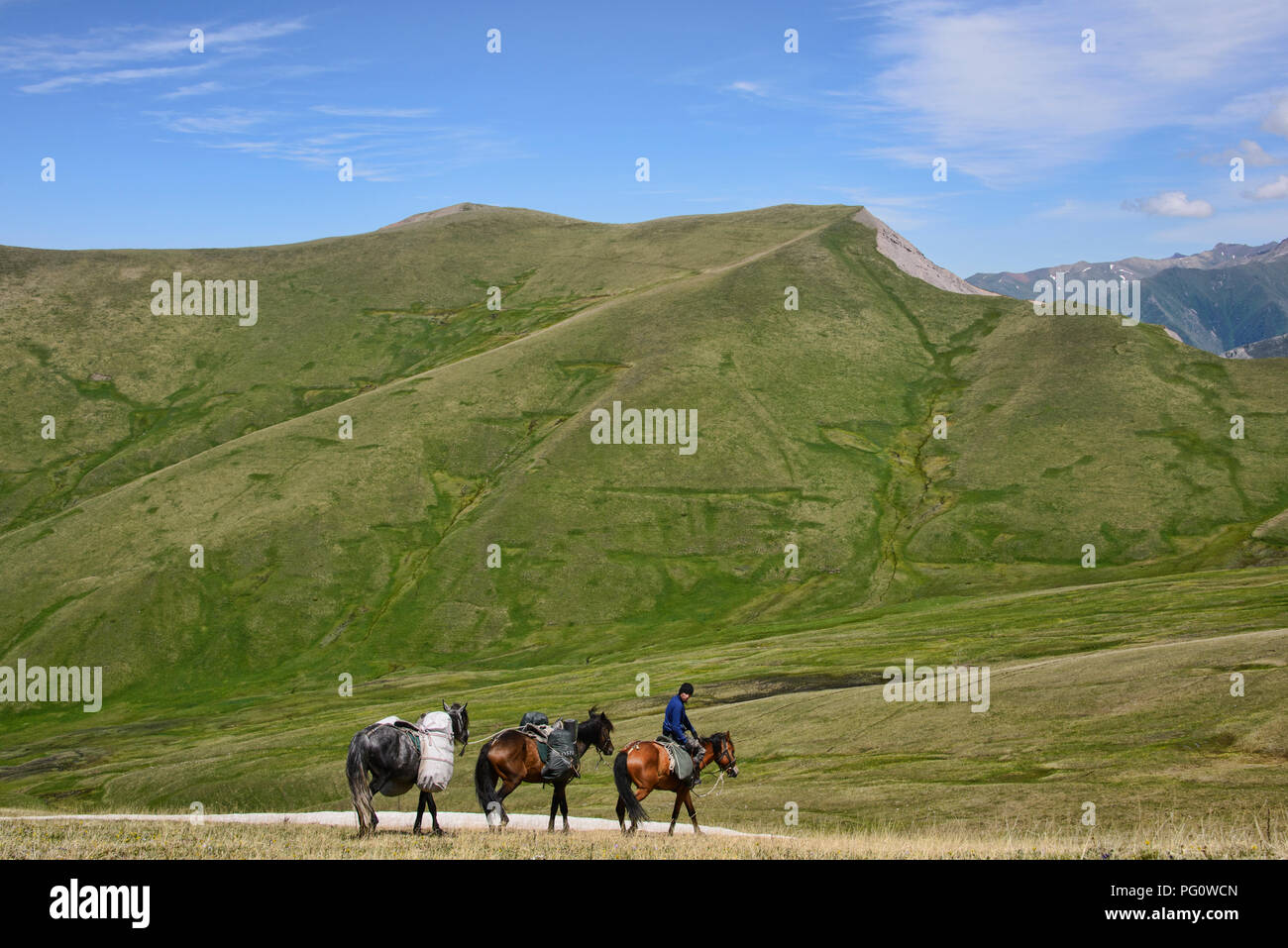 Trekking a cavallo il Keskenkija alpino Trek, Jyrgalan, Kirghizistan Foto Stock