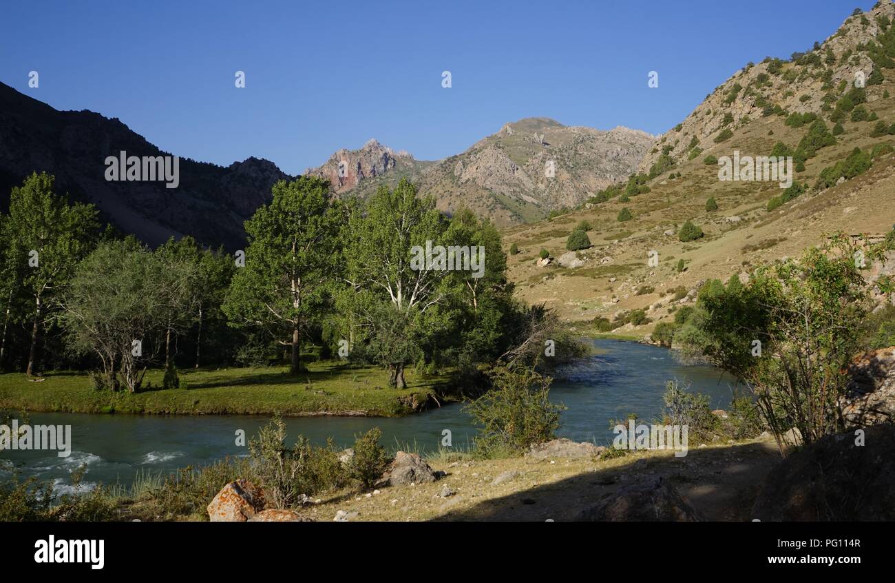 Mounain fiume e alberi, fann montagne, Tagikistan Foto Stock