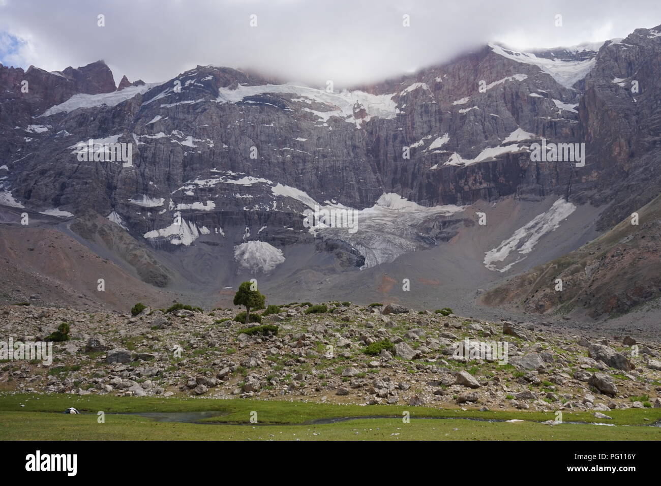 Gli alberi in montagna, con le vette dolomitiche innevate sullo sfondo Fann montagne, Tagikistan Foto Stock