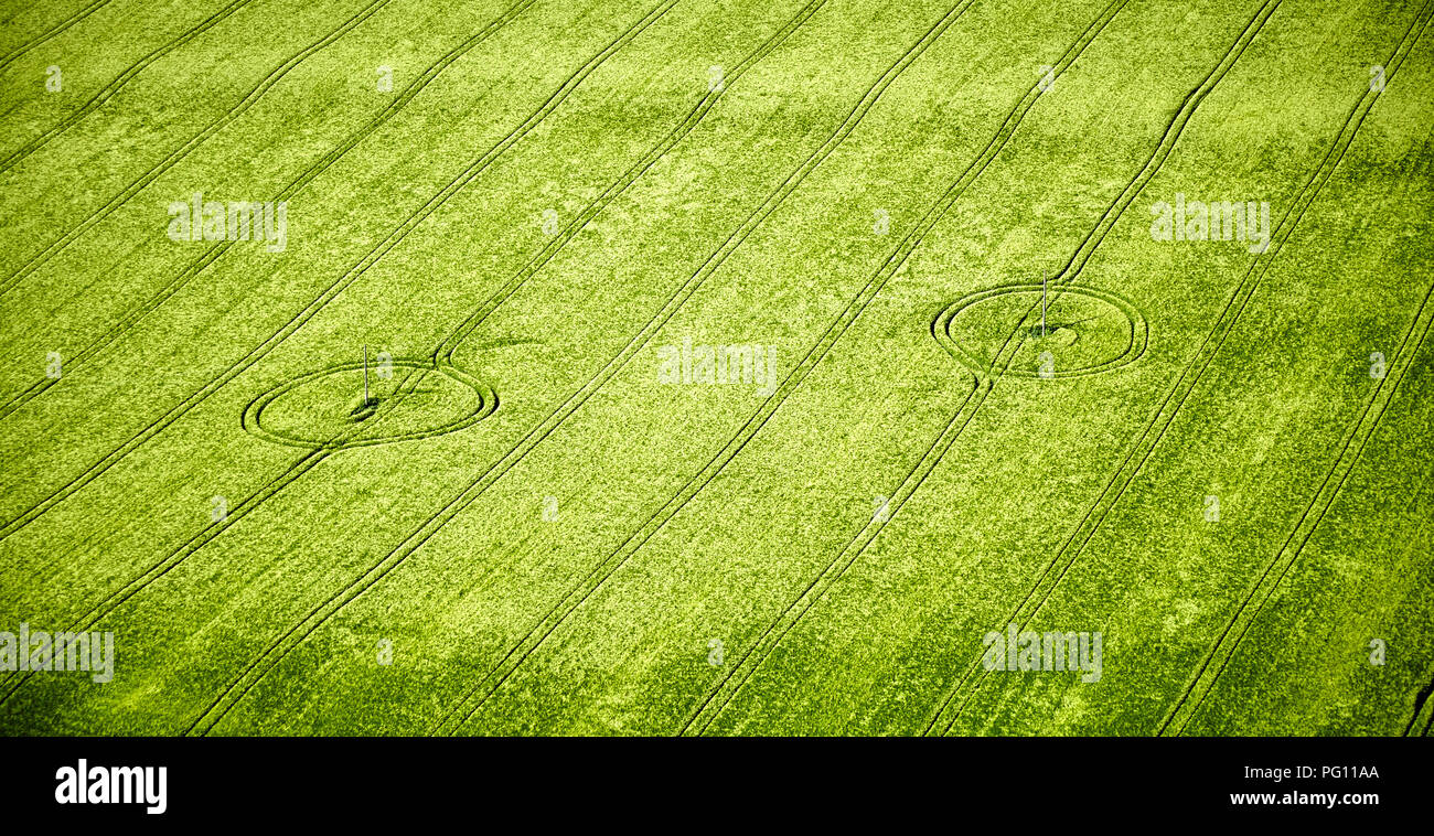Vista aerea del pattern in campi Wiltshire Foto Stock