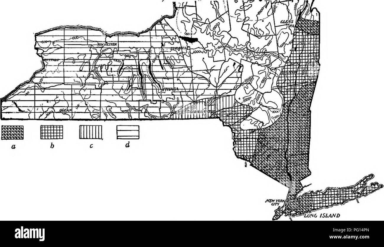 . Chestnut blight. Avvizzimento di castagno; di castagno. Endothia batteriosi vascolare del castagno 543 era noto per essere generalmente stabilito nella parte occidentale di Long Island, Staten Island e le contee di New York, Westchester e Rockland. Era anche previsto che Orange county era stato invaso in qualche misura". gamma di castagno nello Stato di New York riferimento ai disegni mappa (Fig. 78) mostra che il castagno regione dello Stato si trova in quasi due aree separate - la Hudson Valley e il central e western parti dello stato - e le due zone sono collegate da una stretta banda di castagna Foto Stock