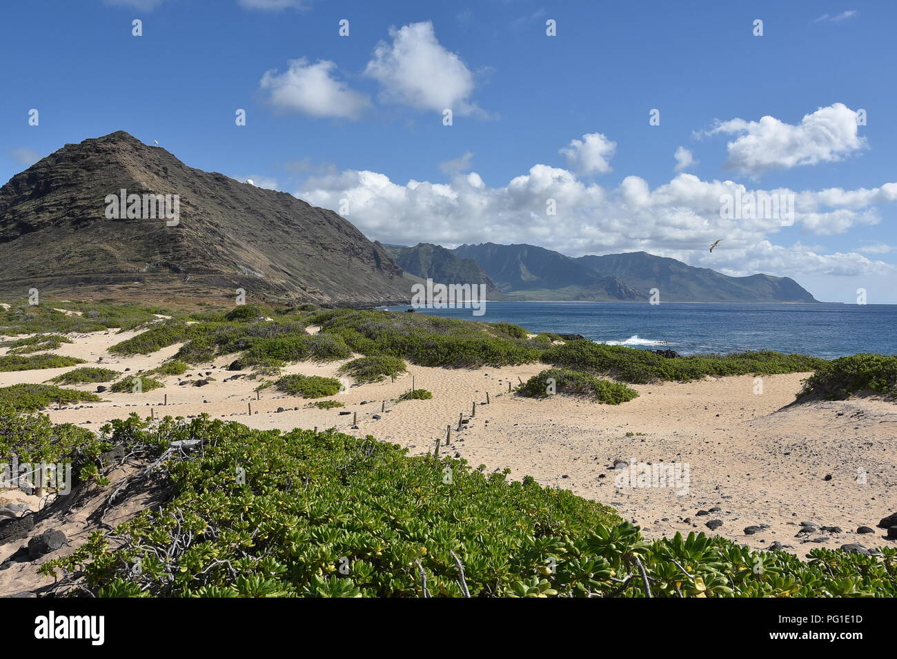 Kaena Point State Park Hawaii, Oahu Foto Stock