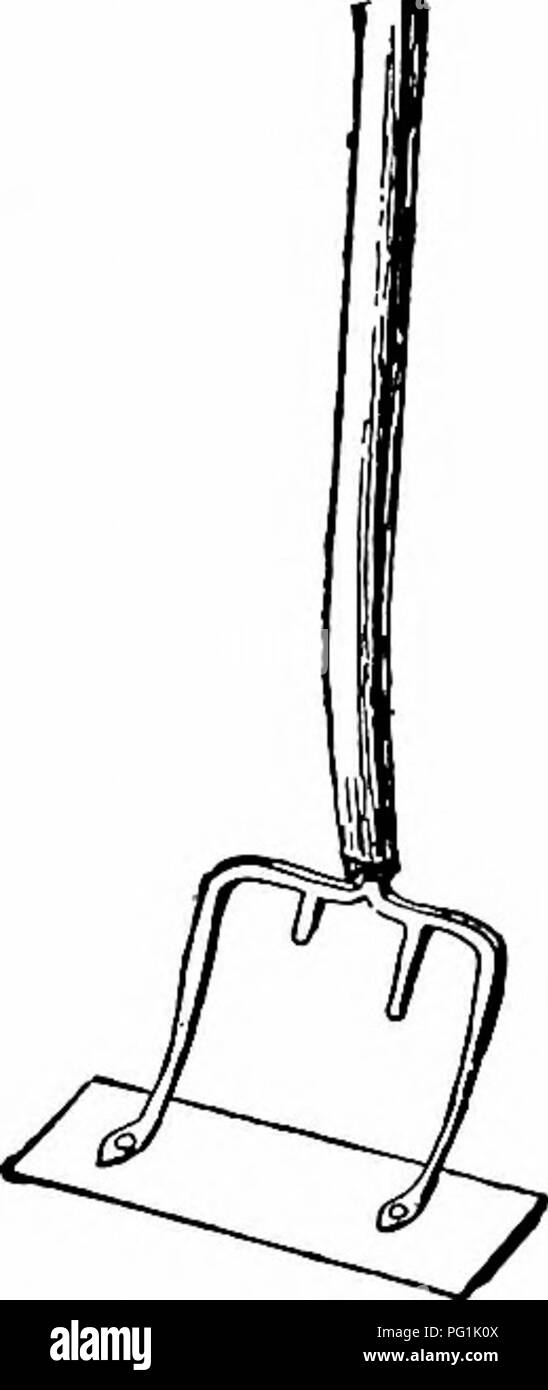 . Manuale di giardinaggio; una guida pratica per la realizzazione di motivi di casa e la coltivazione di fiori, frutta e verdura per uso domestico. Il giardinaggio. Una macchina scarificatrice. 99. Fatta in Casa scarificatrice. babes in operazioni di diserbatura non possono sapere quando è reso veloce lato destro fino a la zappa. "Ci sono un sacco di spinta-le zappe nel mercato, come sono. Alcune dispongono di ferro malleabile prese e archi - più pesante per il compratore e più economico per il concessionario - invece di- battuto ferro e acciaio, come è richiesto per il vero valore." scarificatori.. 100. Fatta in Casa scarificatore o raschiatore. Per molti scopi, strumenti che raschiare o scarificatrico th Foto Stock