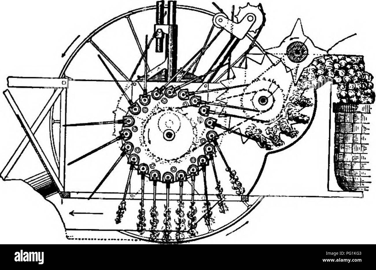 . Southern raccolti di campo (esclusiva di piante foraggere). L'agricoltura. 366 SOUTHERN raccolti di campo Oliver cotone macchina di prelievo, pubblicizzati da Stern &AMP; figli Company, Chicago, Illinois. La Thurman di cotone a vuoto della macchina di prelievo, manufac- tured mediante vuoto Cotton Picking Machine Company, St. Louis, Missouri. Il cotone Price-Campbell macchina di prelievo, inventato da Angus Campbell, Pittsburg, Pennsylvania e sfruttati da Theodore Prezzo, New York City. Sembra sicuro per prevedere che il tempo è vicino e a portata di mano quando il cotone-picking macchine iarvest una parte del raccolto dove. Fig. 157.-Sezione verticale Foto Stock