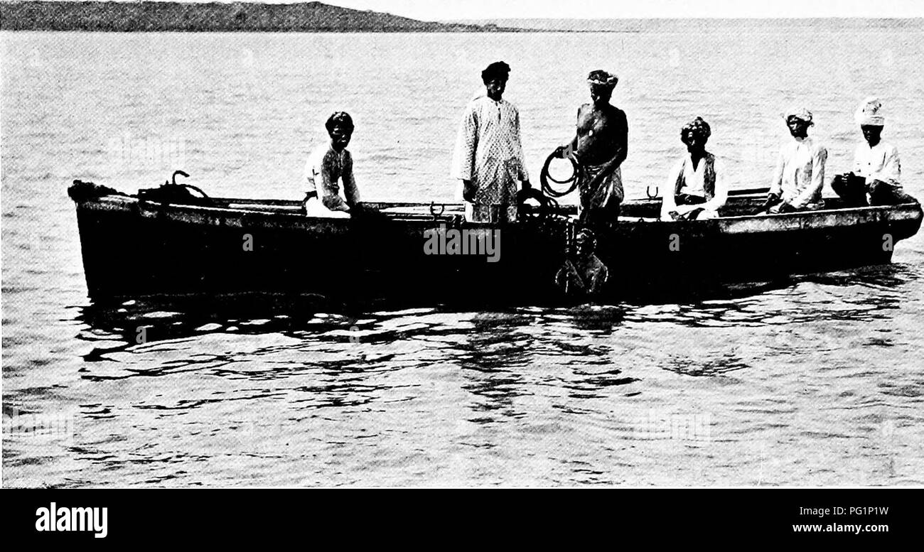 . Report per il governo di Baroda in zoologia marina di Okhamandal in Kattiawar . Animali marini. 48 OKHAMANDAL zoologia marina relazione MalayArchijx"lago.-Yariom posti nelle Indie Olandesi; Nord Borneo, notabl)^ a Labuk Bay ; le Filippine; anche in Cochin la Cina e la Cina Meridionale.. L)salone per la finestra-paiio Oystevs in rami Bay, Okliamandal. Usi economici. Il nome della finestra riquadro-gu'ster, che i viaggiatori nel sud della Cina liaA"e dato a Fh.icuna placenta, indica l'uso a cui tale guscio è stata ed è addirittura ancora, mettere in alcuni paesi dell'Est. Durante i giorni di regola portoghese in I Foto Stock