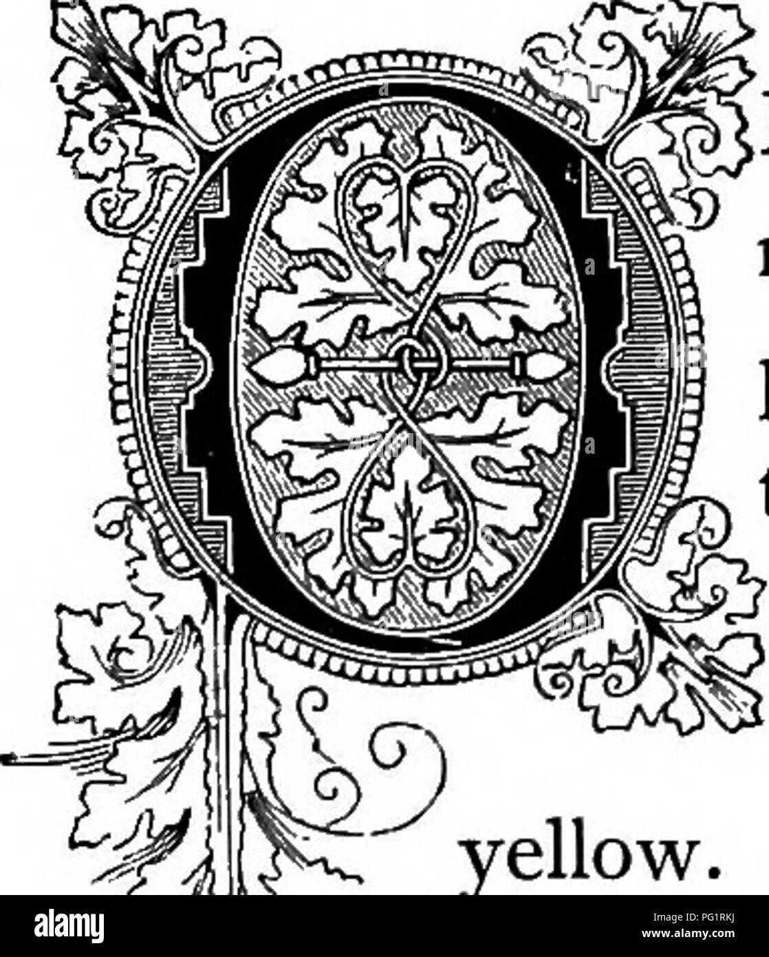 . La Floral Kingdom : la sua storia, il sentimento e la poesia : un dizionario di oltre trecento piante, con i generi e le famiglie a cui appartengono e la lingua di ciascun illustrato con opportune le gemme per la poesia . Lingua dei fiori; i fiori in letteratura. ff Iprinxula graniltfloro. Ordine naturale: Pritnulacece-Primrose famiglia. NE delle prime pagine floreale in primavera volume di natura può essere detto di essere occupata dalle primule, come hanno inizio peep da terra, mostrando loro fiorisce in aprile; quindi il nome, dal latino primus, prima. Essi sono nativi di Europa e di culto Foto Stock