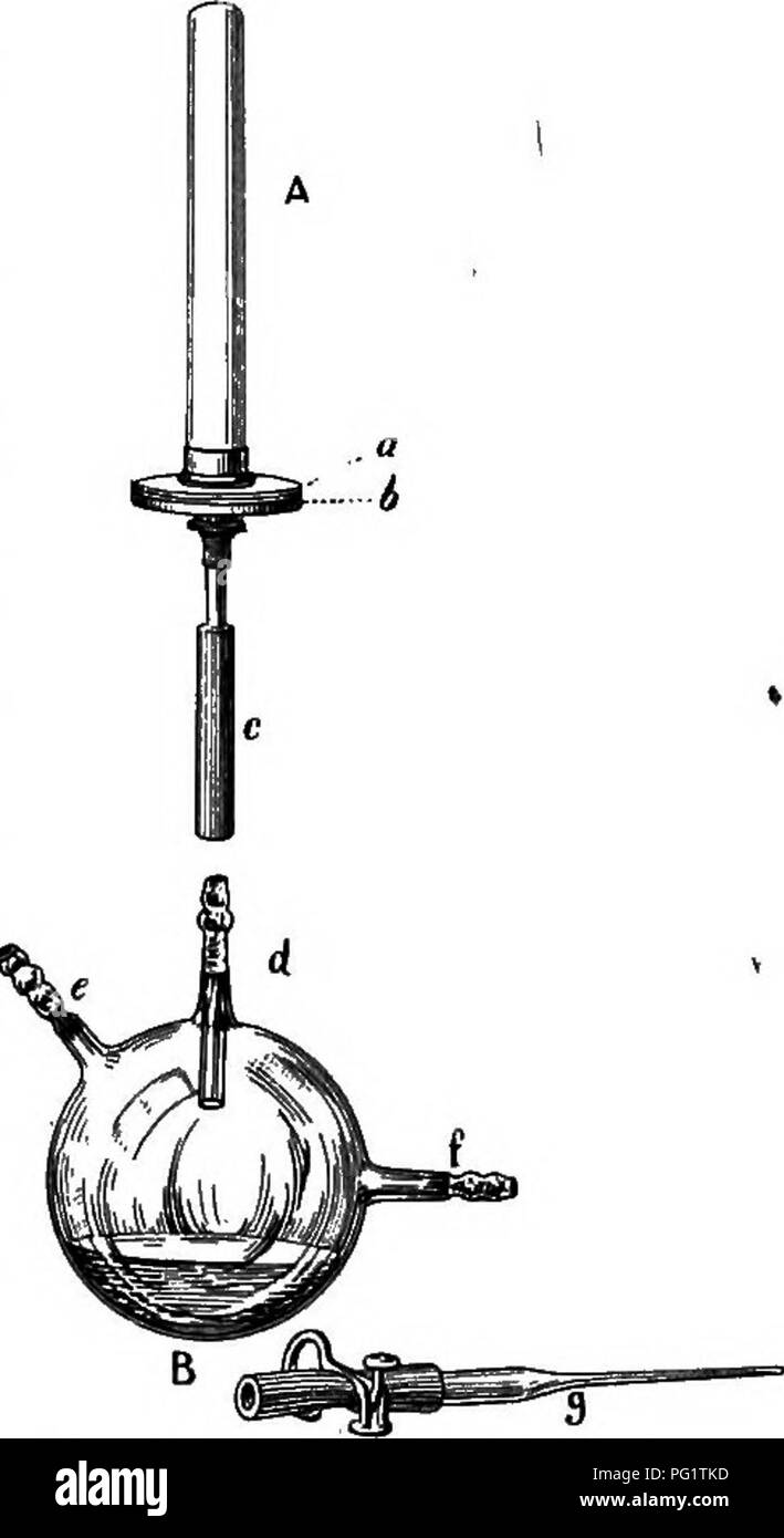 . Il lavoro di laboratorio in batteriologia. Batteriologia. / La filtrazione di liquidi batterica. 471 La bocca sterile di bougie ora è accesa e collegata con la sterile tubo di vetro che passa ^attraverso il tappo di gomma. Un globo di vetro simile a quella di Martin può essere utilizzato al posto di un pallone di Erlenmeyer a ricevere il filtrato (Fig. 68 B). Il cilindro è ora invertito e collegato con il ricevitore (Fig. 66 e). Liquidi ordinaria può essere filtrato dall'aiuto di Chapman aspira- tor. Se il liquido sotto queste condizioni filtri lentamente, il collo del globo (Fig. 66 h) devono essere collegati con un tan Foto Stock