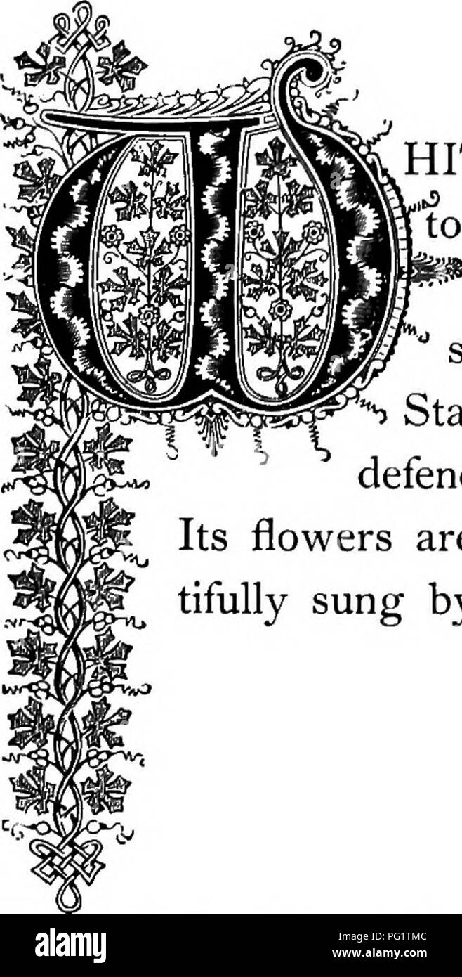 . La Floral Kingdom : la sua storia, il sentimento e la poesia : un dizionario di oltre trecento piante, con i generi e le famiglie a cui appartengono e la lingua di ciascun illustrato con opportune le gemme per la poesia . Lingua dei fiori; i fiori in letteratura. -^ JaSmiuUlU offictuak. Ordine naturale: Jasminacece â yasmine famiglia. ^HITE JASMINE è uno splendido arbusto, arrampicata su supporti j'ad una altezza di quindici o venti piedi, ed è molto utilizzato in ' Europa per la copertura dei mandrini e graticci. Non è sufficientemente resistente per sopportare gli inverni del nostro nord 'S membri senza la prote Foto Stock