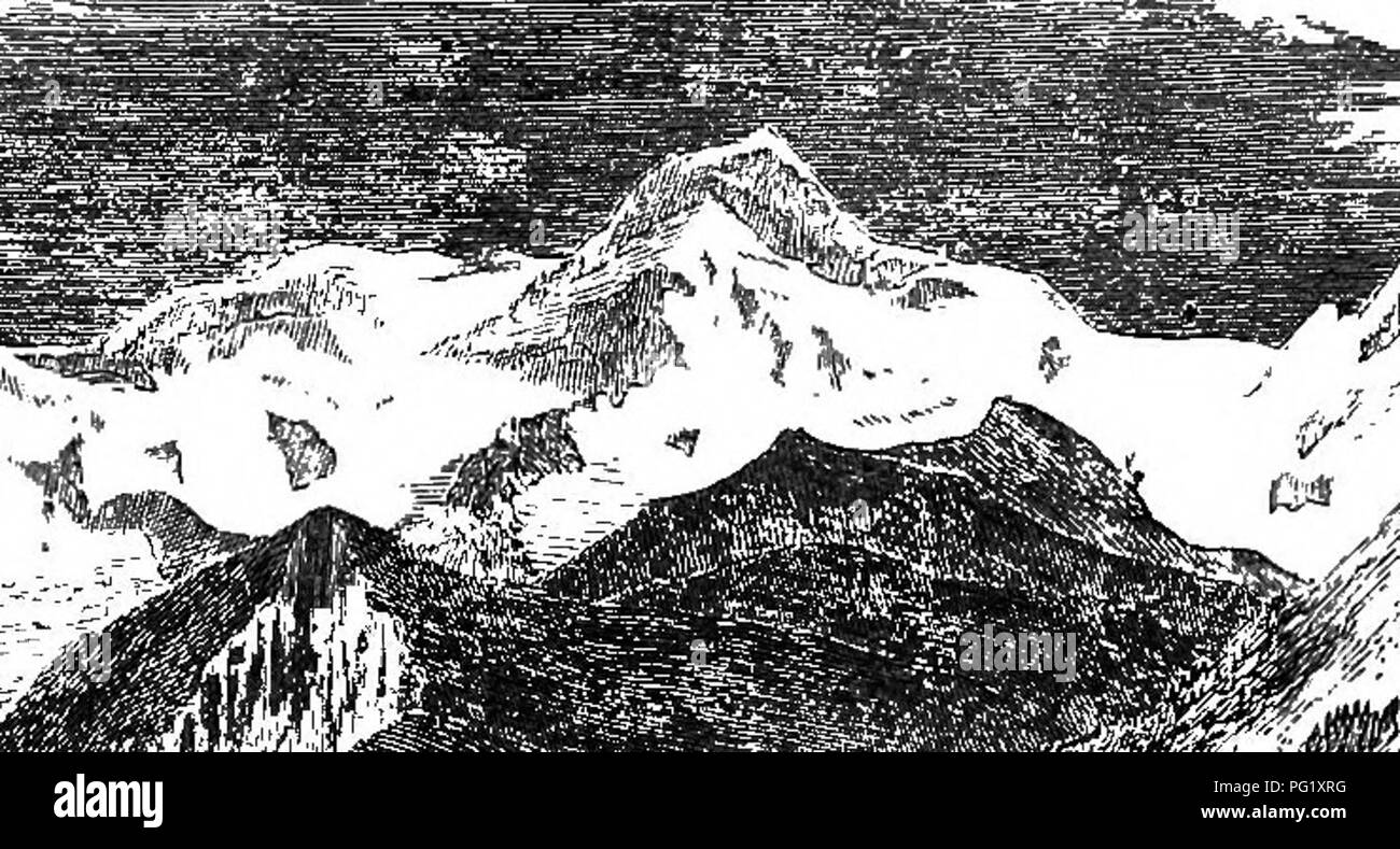 Questa guida per il giardinaggio fornisce consigli su come evitare piante alpine inadatte nei giardini inglesi. Sottolinea la selezione di piante adatte al clima e all'ambiente della regione. Foto Stock