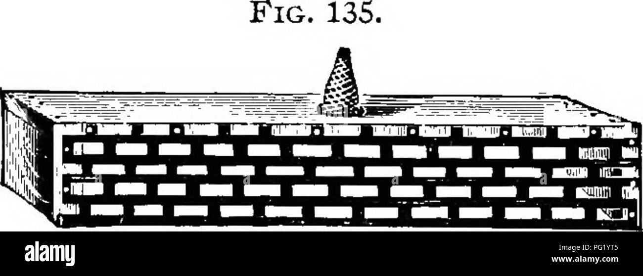 . L'apicoltore di guida; oppure, manuale dell'apiario. Le api. 284 La bbb-kbbpbr's guidb ; regina eseguito presso l'entrata di qualunque queenless hive o nucleo in una sola volta. Nella selezione di pettini per la regina-celle, dovremmo respingere qualsiasi che hanno drone-comb. A volte le api regina start-celle sul drone-larve. Tali cellule sono più uniformi rispetto agli altri, e naturalmente sono inutili. Dopo che tutti i nuclei hanno ricevuto le loro celle e le api, hanno solo per essere impostato in un luogo ombroso e guardato per vedere che la Fig. 134. Entrance-Guard. sufficiente rimangono le api. Dovrebbe troppi lasciare, dare loro più rimuovendo il coperchio e shak Foto Stock