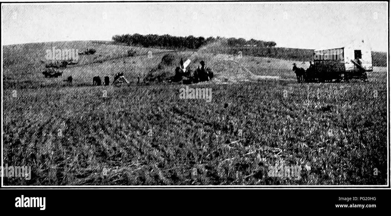 . Dry-agricoltura; un sistema di agricoltura per i paesi sotto una bassa piovosità. L'aridocoltura. 384 DRY-FAEMING mozzando. Tutti gli altri dry-farm i distretti devono prendere a cuore questa lezione per, anche se i raccolti possono essere pra- duced su terreni fertili per uno, due o addirittura tre gener- zioni senza la concimazione, ancora il tempo di venire. Fig. 102. La trebbiatura in dry-farm quartiere vicino a Mosca, Idaho. Quando un impianto-cibo deve essere aggiunto al terreno in cambio di quella che è stata rimossa dalle colture, nel frattempo, California offre anche un eccellente esempio della possibilità di successo a secco agricoltura attraverso lunghi periodi e Foto Stock