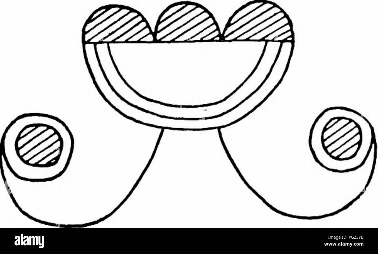 . La doppia curva a motivo nel nordest Algonkian art. Algonquian indiani; arte indiana; Algonquian art. Fig. 20. Blackfoot doppia curva-design. Le pianure del nord a doppia curva disegni. Heye raccolta, Univ. di Pa. museo.. Si prega di notare che queste immagini vengono estratte dalla pagina sottoposta a scansione di immagini che possono essere state migliorate digitalmente per la leggibilità - Colorazione e aspetto di queste illustrazioni potrebbero non perfettamente assomigliano al lavoro originale. Speck, Frank Gouldsmith, 1881-1950. Ottawa, G. P. O. Foto Stock