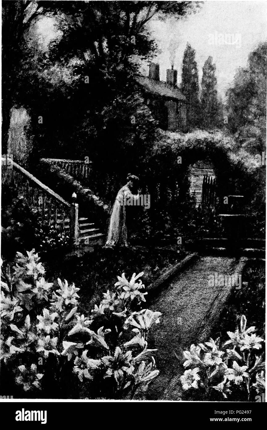 . Giardini vicino al mare; la realizzazione e la cura dei giardini su o vicino alla costa con riferimento anche per prati e giardini e da alberi e arbusti. Il giardinaggio. Piastra LXXII nj2io ho r.- ij, vj.j. TWILIGHT a Silvestro Manor. Si prega di notare che queste immagini vengono estratte dalla pagina sottoposta a scansione di immagini che possono essere state migliorate digitalmente per la leggibilità - Colorazione e aspetto di queste illustrazioni potrebbero non perfettamente assomigliano al lavoro originale. Lounsberry, Alice. New York, Frederick A. Stokes company Foto Stock