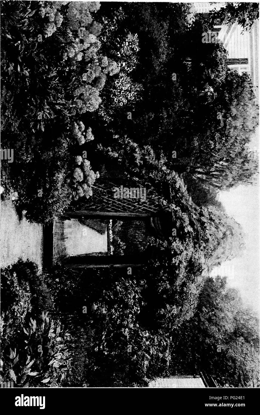 . Giardini vicino al mare; la realizzazione e la cura dei giardini su o vicino alla costa con riferimento anche per prati e giardini e da alberi e arbusti. Il giardinaggio. . Si prega di notare che queste immagini vengono estratte dalla pagina sottoposta a scansione di immagini che possono essere state migliorate digitalmente per la leggibilità - Colorazione e aspetto di queste illustrazioni potrebbero non perfettamente assomigliano al lavoro originale. Lounsberry, Alice. New York, Frederick A. Stokes company Foto Stock
