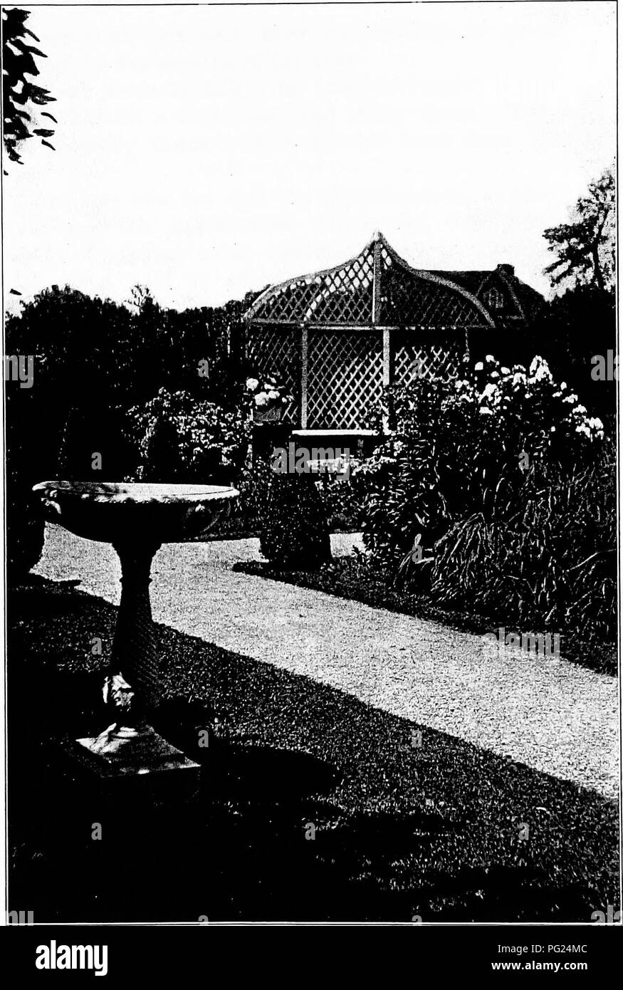 Questa guida fornisce consigli sulla creazione e la manutenzione di giardini nelle aree costiere, con particolare attenzione a prati, arbusti e sempreverdi tagliati. Offre soluzioni pratiche per le sfide dei giardini costieri. Foto Stock