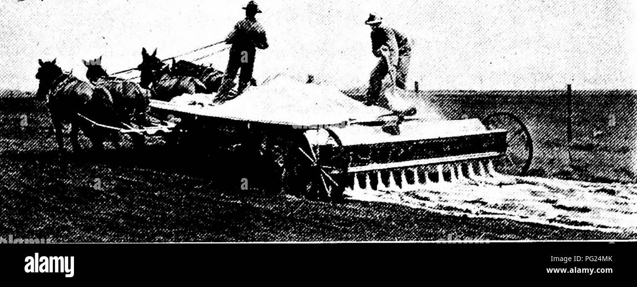 Questo manuale agricolo parla della produzione di colture in campo, concentrandosi sulle colture leguminose. Spiega il rapporto tra le piante leguminose e i batteri che fissano l'azoto, evidenziando come l'azoto in eccesso nel suolo possa ridurre l'attività batterica, rendendo i fertilizzanti azotati inadatti a queste colture. Foto Stock