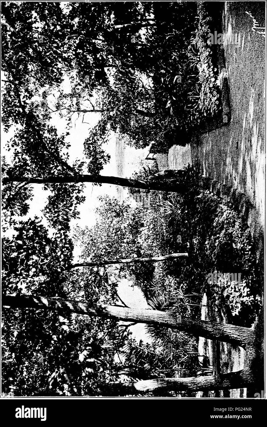 Questa guida di Alice Lounsberry offre consigli pratici sulla progettazione e la manutenzione dei giardini negli ambienti costieri. Copre la selezione delle piante, la cura del prato e le sfide uniche del giardinaggio vicino al mare, tra cui la tolleranza al sale e i venti costieri. Foto Stock