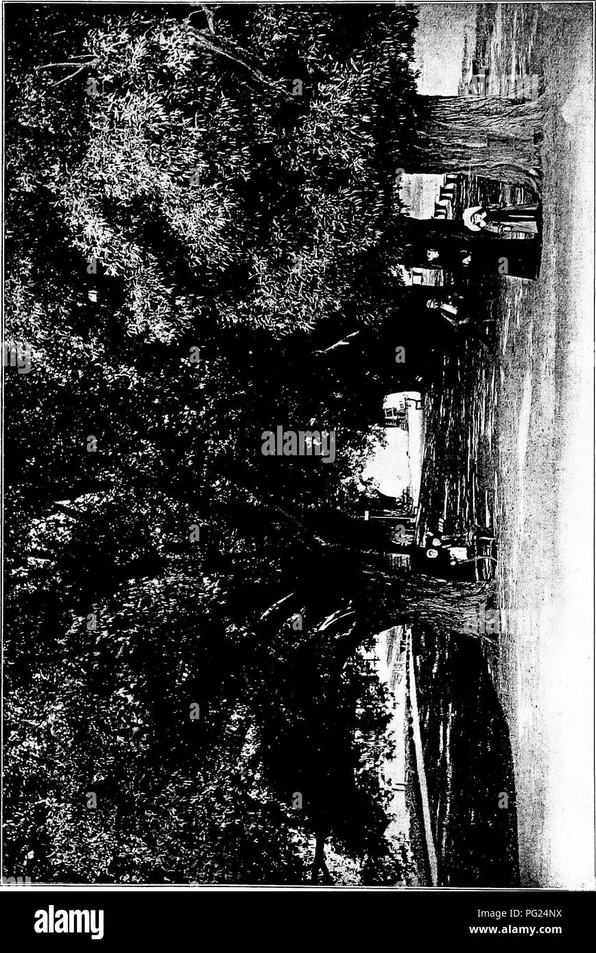 . Giardini vicino al mare; la realizzazione e la cura dei giardini su o vicino alla costa con riferimento anche per prati e giardini e da alberi e arbusti. Il giardinaggio. . Si prega di notare che queste immagini vengono estratte dalla pagina sottoposta a scansione di immagini che possono essere state migliorate digitalmente per la leggibilità - Colorazione e aspetto di queste illustrazioni potrebbero non perfettamente assomigliano al lavoro originale. Lounsberry, Alice. New York, Frederick A. Stokes company Foto Stock