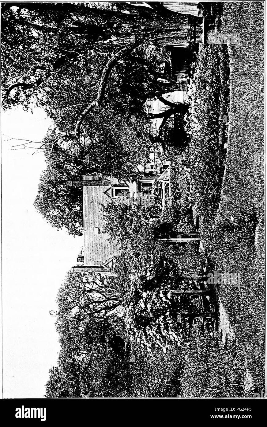 . Giardini vicino al mare; la realizzazione e la cura dei giardini su o vicino alla costa con riferimento anche per prati e giardini e da alberi e arbusti. Il giardinaggio. . Si prega di notare che queste immagini vengono estratte dalla pagina sottoposta a scansione di immagini che possono essere state migliorate digitalmente per la leggibilità - Colorazione e aspetto di queste illustrazioni potrebbero non perfettamente assomigliano al lavoro originale. Lounsberry, Alice. New York, Frederick A. Stokes company Foto Stock