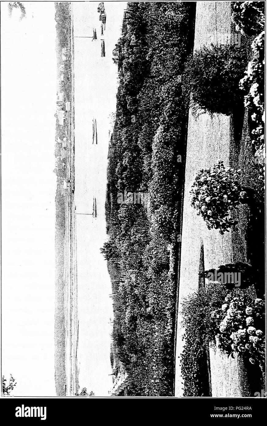 . Giardini vicino al mare; la realizzazione e la cura dei giardini su o vicino alla costa con riferimento anche per prati e giardini e da alberi e arbusti. Il giardinaggio. z H a. Si prega di notare che queste immagini vengono estratte dalla pagina sottoposta a scansione di immagini che possono essere state migliorate digitalmente per la leggibilità - Colorazione e aspetto di queste illustrazioni potrebbero non perfettamente assomigliano al lavoro originale. Lounsberry, Alice. New York, Frederick A. Stokes company Foto Stock