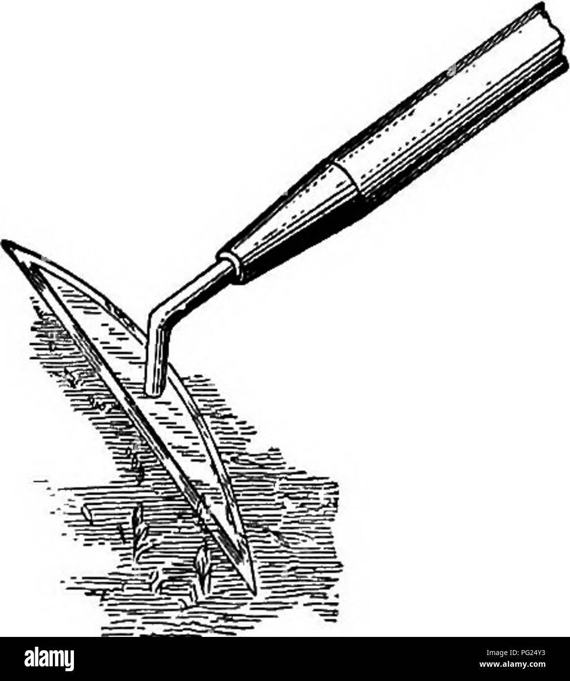 . Manuale di giardinaggio : una guida pratica per la realizzazione di motivi di casa e la coltivazione di fiori, frutta e verdura per uso domestico . Il giardinaggio. Una macchina scarificatrice. 99 fatte in casa scarificatrice. babes in operazioni di diserbatura non possono sapere quando è reso veloce lato destro fino a la zappa. "Ci sono un sacco di spinta-le zappe nel mercato, come sono. Alcune dispongono di ferro malleabile prese e archi - più pesante per il compratore e più economico per il concessionario - invece di- battuto ferro e acciaio, come è richiesto per il vero valore." scarificatori.. Si prega di notare che queste immagini vengono estratte dalla pagina sottoposta a scansione di immagini che possono essere Foto Stock